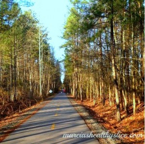 tobacco trail