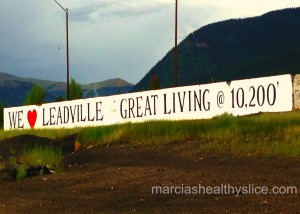 leadvillesign