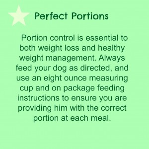 Perfect Portions