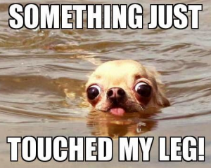 touched my leg