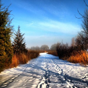 snowy trail