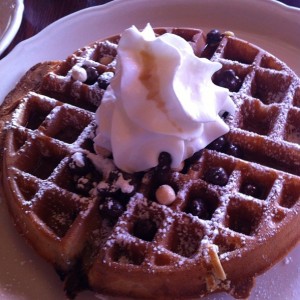 belgian waffle