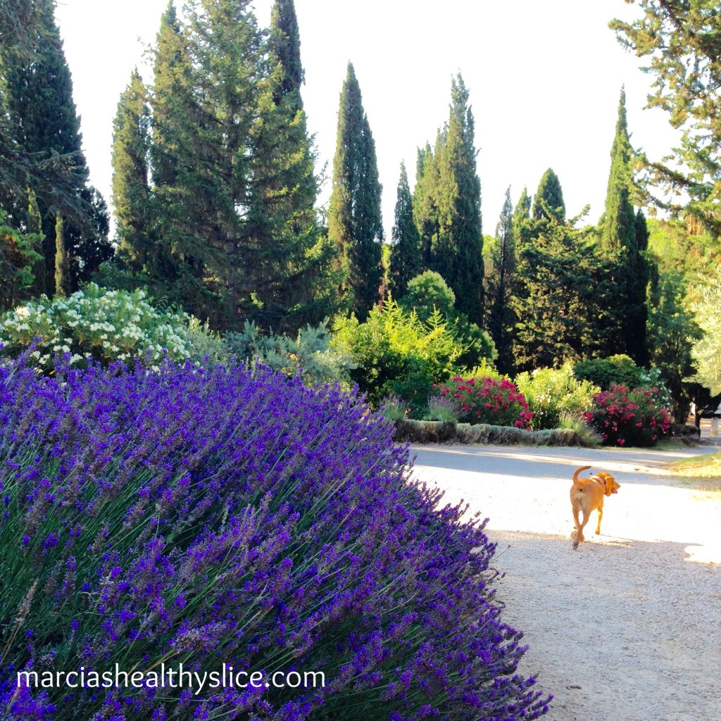 Lourmarin, France