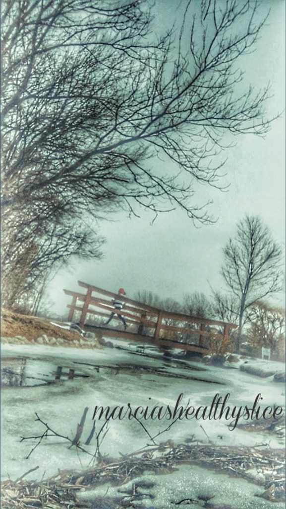 snowy run bridge