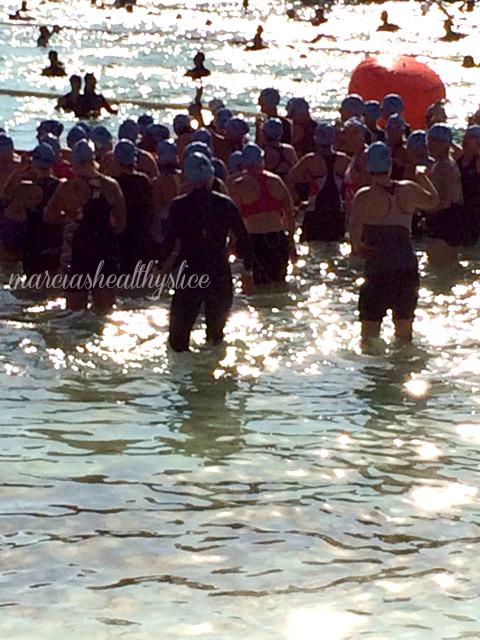 Espirit de she 2016 swim start