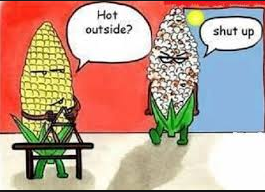 hotcorn