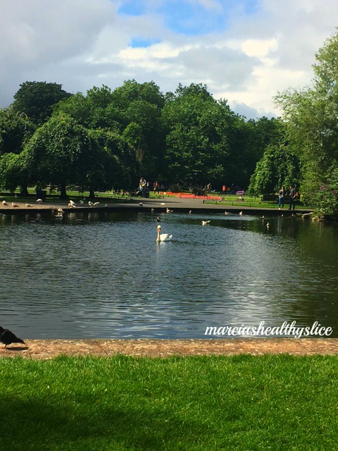 ireland-st-stephens-green