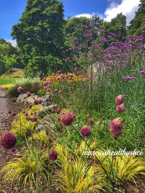 ireland-blarney-garden1