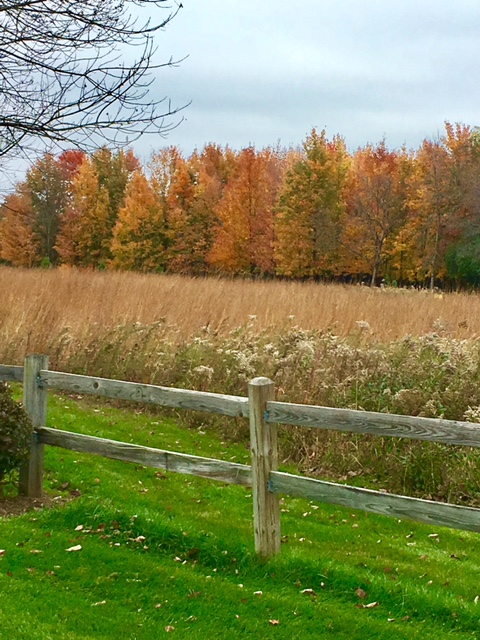 fall-fence-2016